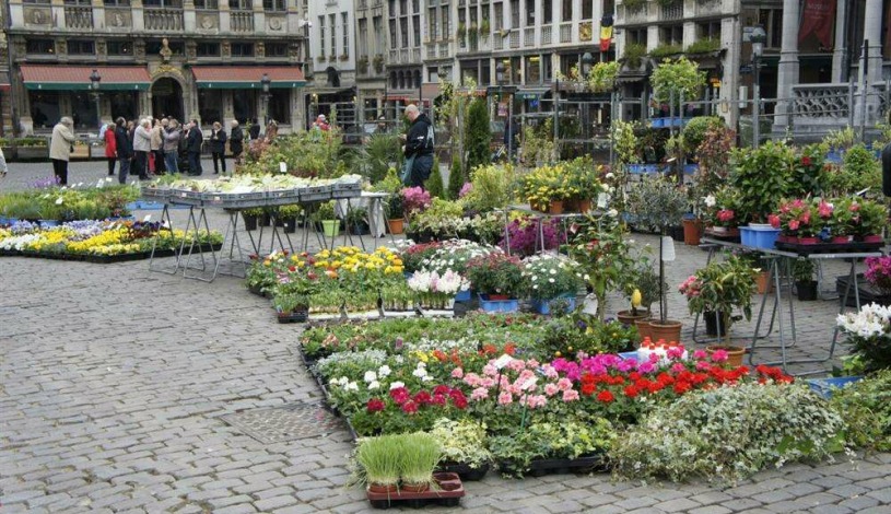 Apartment Rue de la Colline Brussel - Hills 5