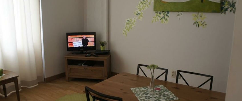 Apartment Rue de l'Evêque Brussel - Opera 501