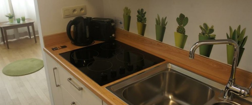 Apartment Rue de l'Evêque Brussel - Opera 501