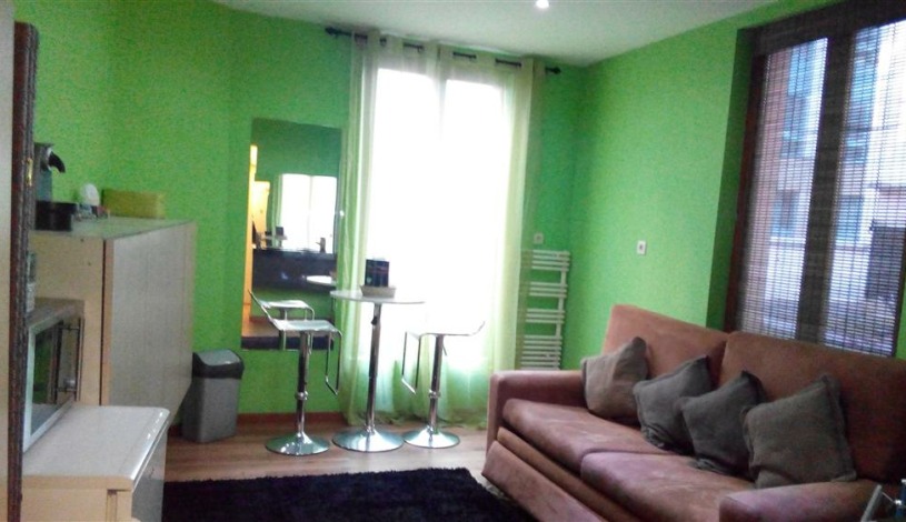Apartment Rue des Hirondelles Brussel - Apt 49015