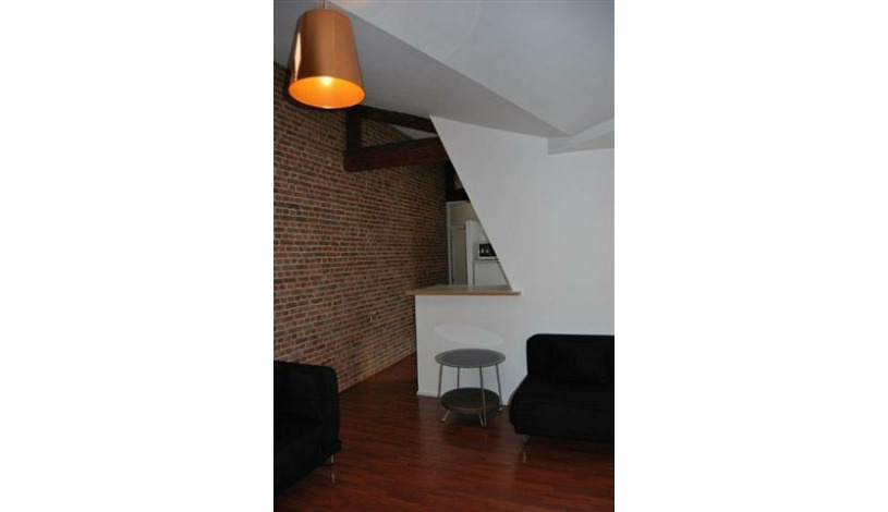 Apartment Rue du Marché aux Poulets Brussel - Antoine