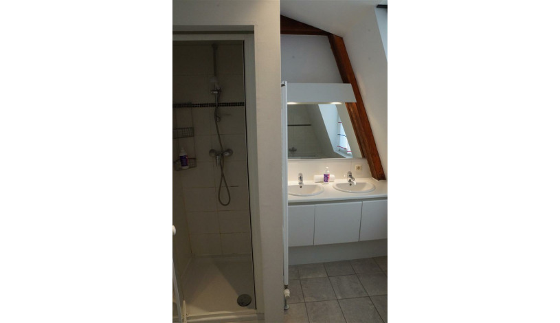 Apartment Rue du Marché aux Poulets Brussel - Antoine 5