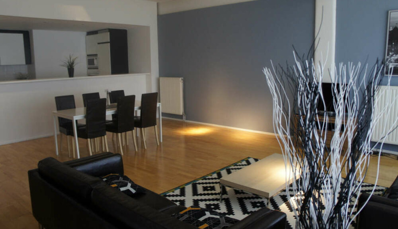 Apartment Rue du Poinçon Brussel - Loft 4