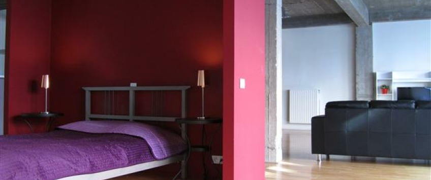 Apartment Rue du Poinçon Brussel - Loft 1