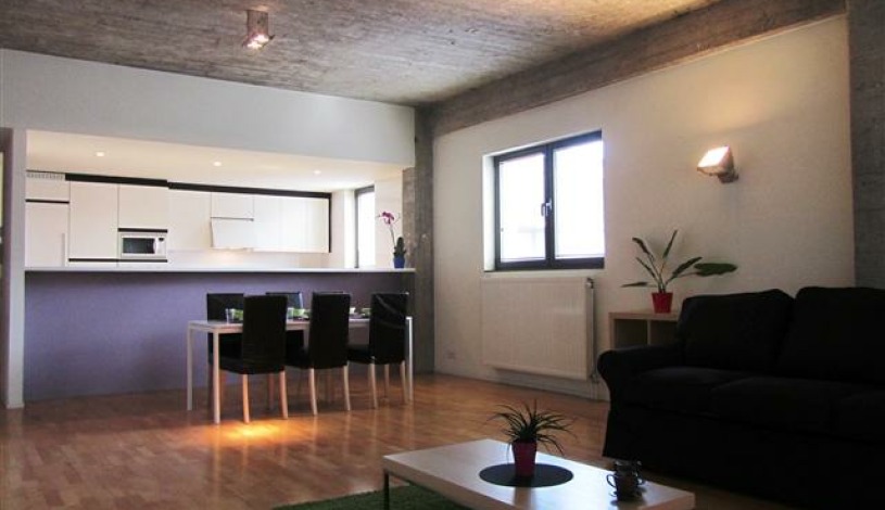 Apartment Rue du Poinçon Brussel - Loft 2