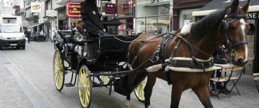 Apartment Rue du Poinçon Brussel - Loft 2