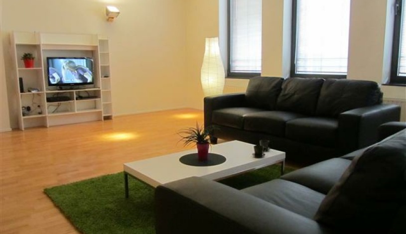 Apartment Rue du Poinçon Brussel - Loft 3