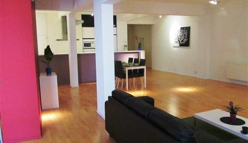 Apartment Rue du Poinçon Brussel - Loft 3