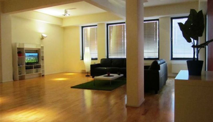 Apartment Rue du Poinçon Brussel - Loft 3