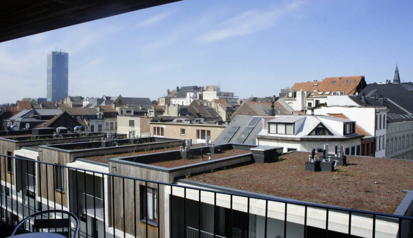 Apartment Rue du Poinçon Brussel - Loft 4