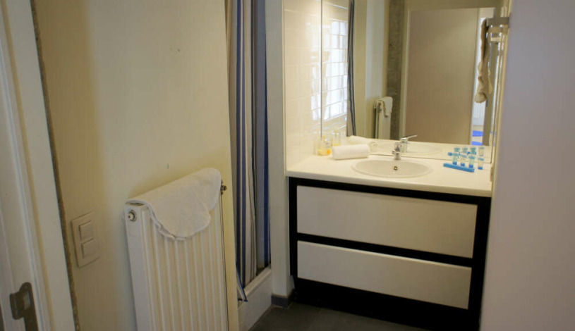 Apartment Rue du Poinçon Brussel - Loft 9