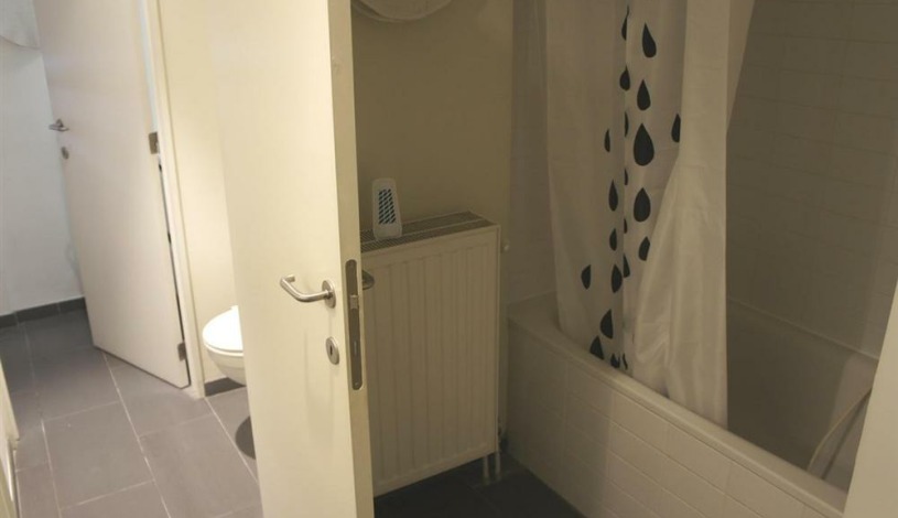 Apartment Rue du Poinçon Brussel - Loft 11