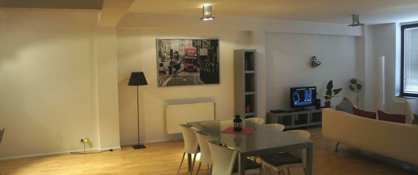 Apartment Rue du Poinçon Brussel - Loft 11