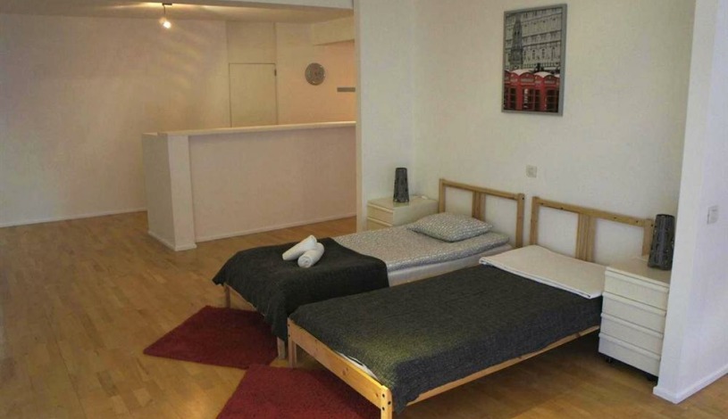 Apartment Rue du Poinçon Brussel - Loft 11