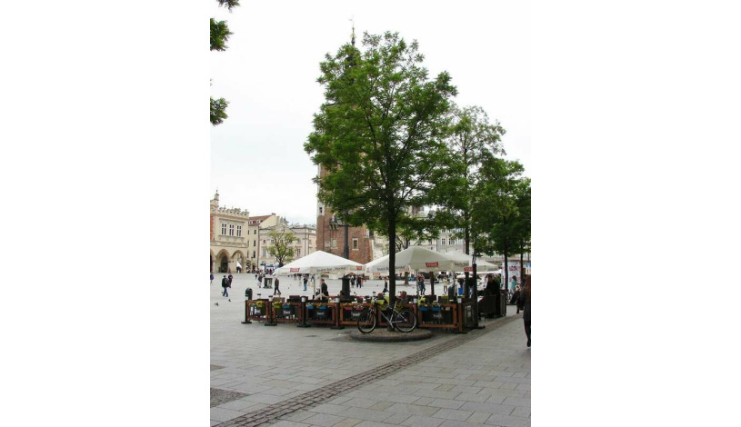 Apartment rynek Główny Kraków - Gold Chamber