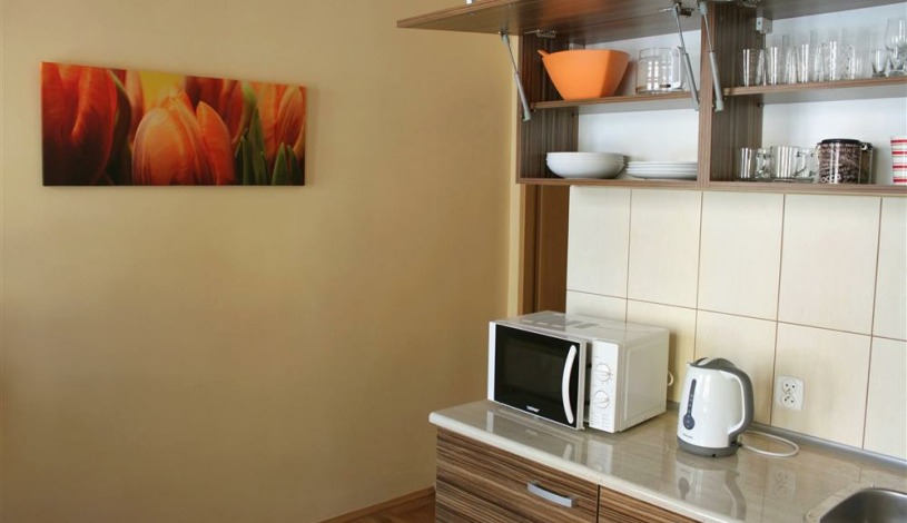 Apartment rynek Ratusz Wrocław - Apt 23704