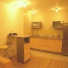 1-bedroom Apartment Kiev Shevchenkivs'kyi district with-balcony and with kitchen