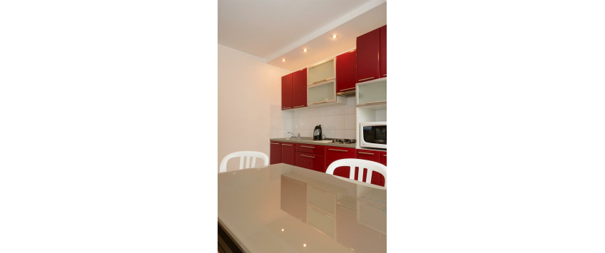 Apartment Saksaganskogo Kiev - Apt 16029