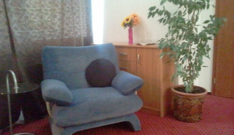 PENZION SARAYA WELLNESS Teplice