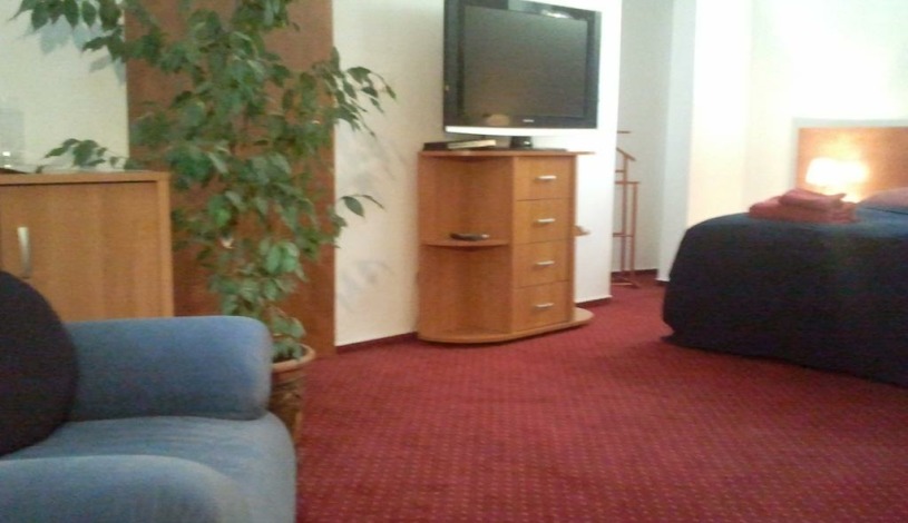 PENZION SARAYA WELLNESS Teplice