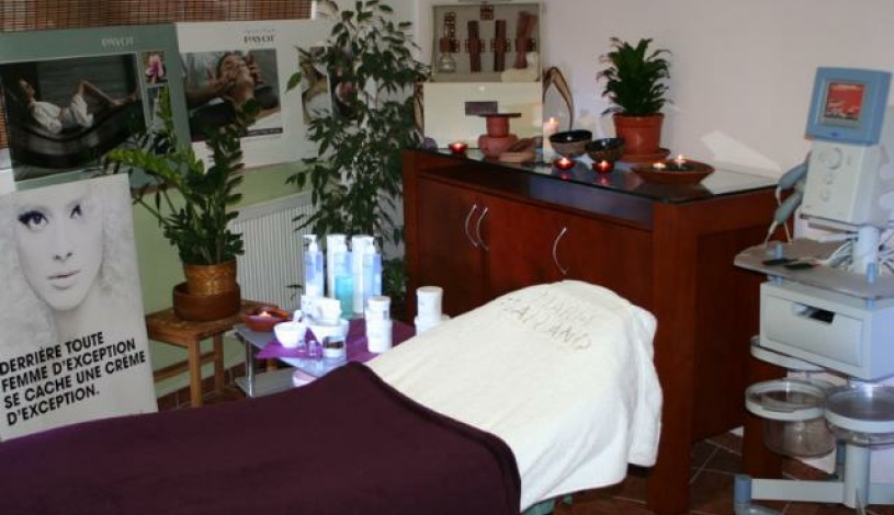 PENZION SARAYA WELLNESS Teplice