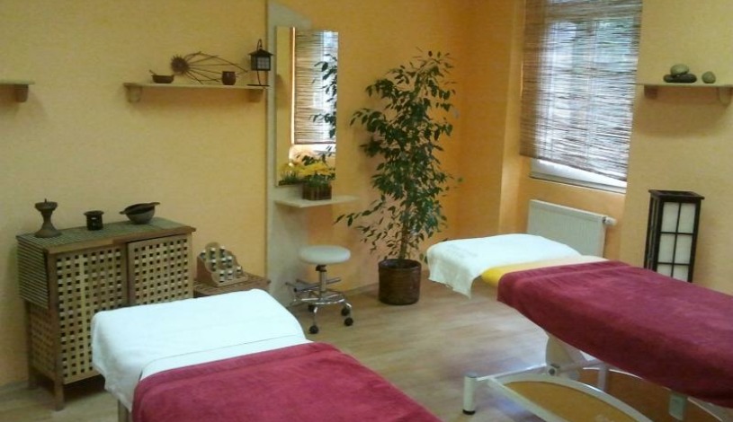 PENZION SARAYA WELLNESS Teplice