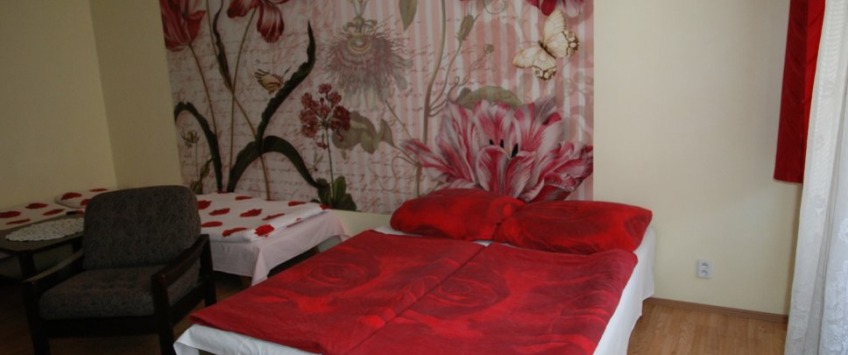 Apartmánový dům Saturnin Praha - 1-ložnicové apartmá