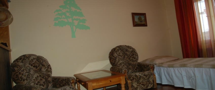 Apartmánový dům Saturnin Praha - 1-ložnicové apartmá