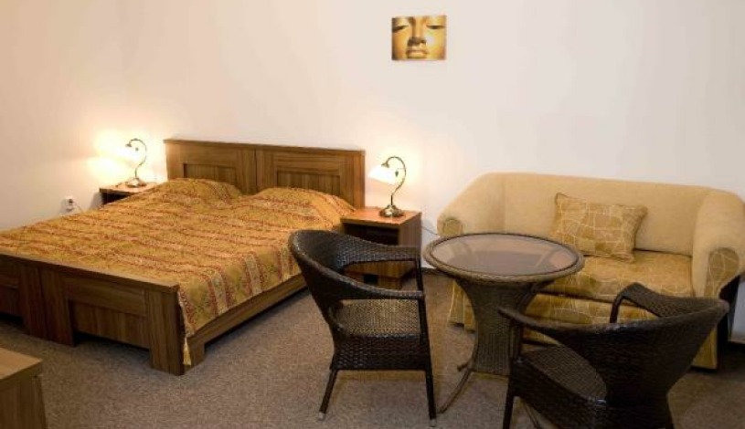 Pension Satyam Brno