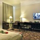 Double room Deluxe - Hotel Savoy Praha