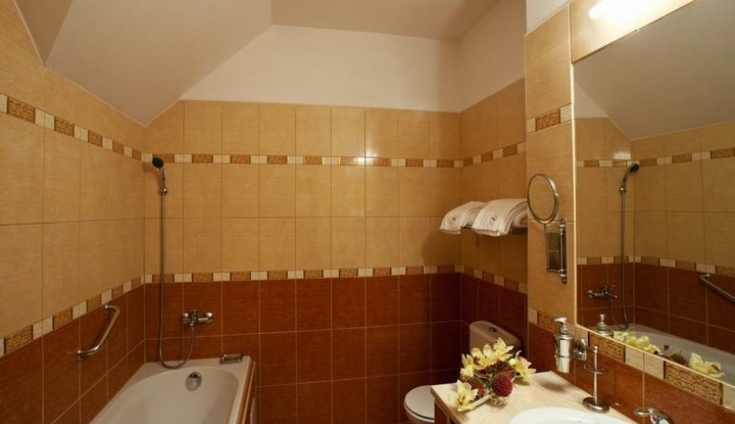 Hotel SAVOY České Budějovice