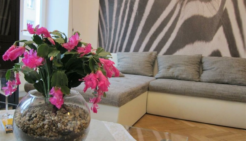 Apartment Schönbrunner Straße Wien - Apt 21200