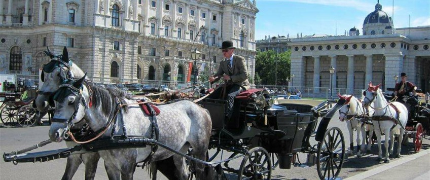 Apartment Schönbrunner Straße Wien - Apt 21200
