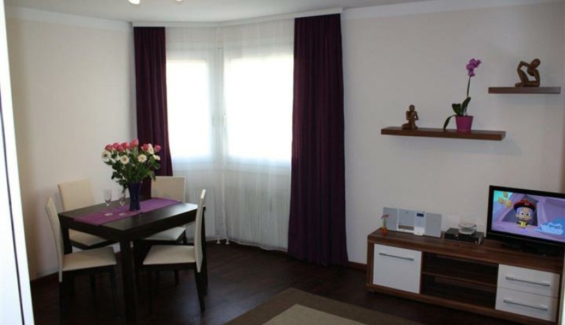 Apartment Sechshauser Straße Wien - Apt 22050