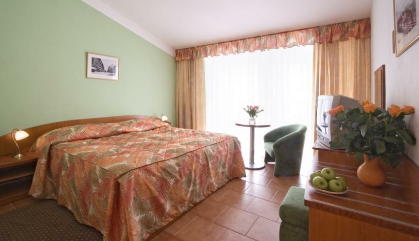 SEIFERT HOTEL Praha - Pokoj pro 1 osobu