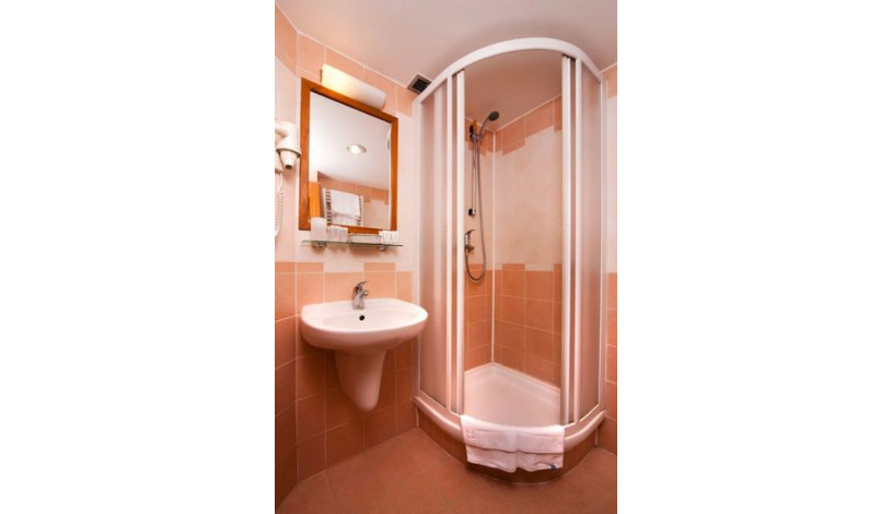 Residence Select Praha - Double room
