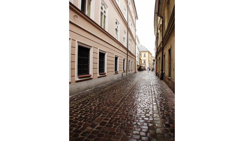 Apartment Senacka Kraków - Ginger