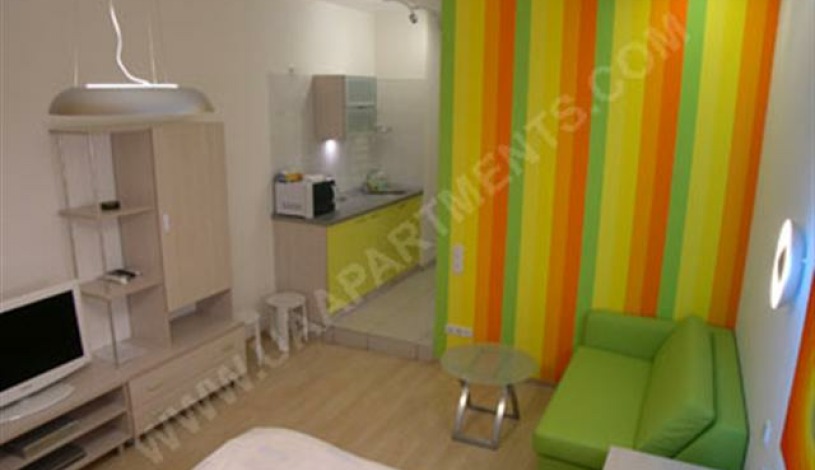 Apartment Shota Rustaveli Kiev - Apt 19884