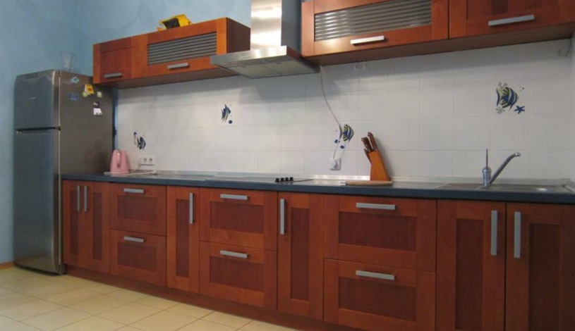 Apartment Shota Rustaveli Kiev - Apt 27223