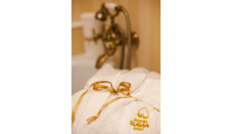 HOTEL SLAVIA Brno