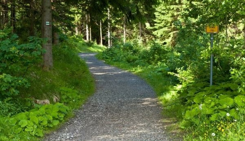 Hotel Alpina Špindlerův Mlýn
