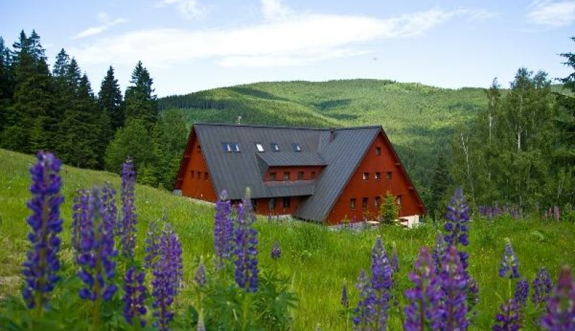 Hotel Alpina Špindlerův Mlýn