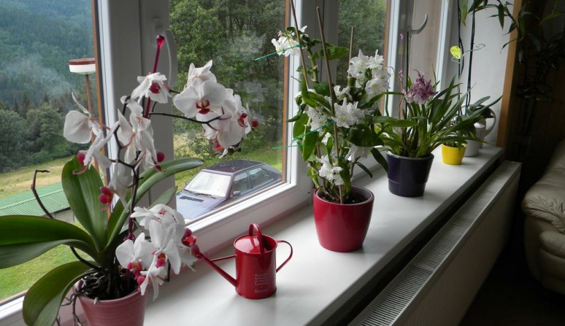 Pension Horalka Špindlerův Mlýn