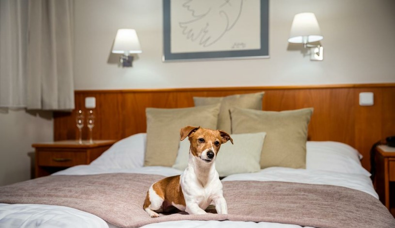 Hotel Sněžka Špindlerův Mlýn