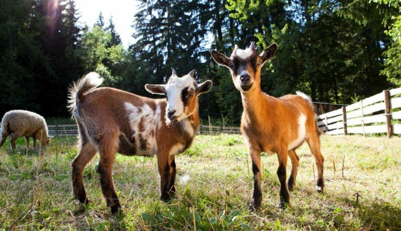 Wellness hotel Velveta Špindlerův Mlýn