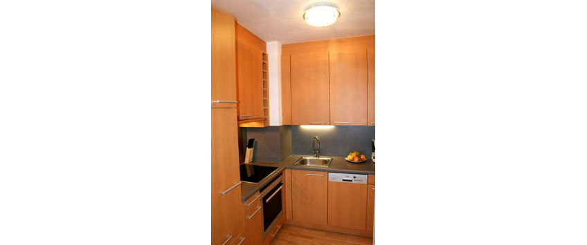 Apartment Sobieskigasse Wien - Apt 20208