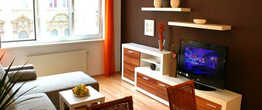 Apartment Sobieskigasse Wien - Apt 22571