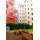 Apartment Sobieskigasse Wien - Apt 20208