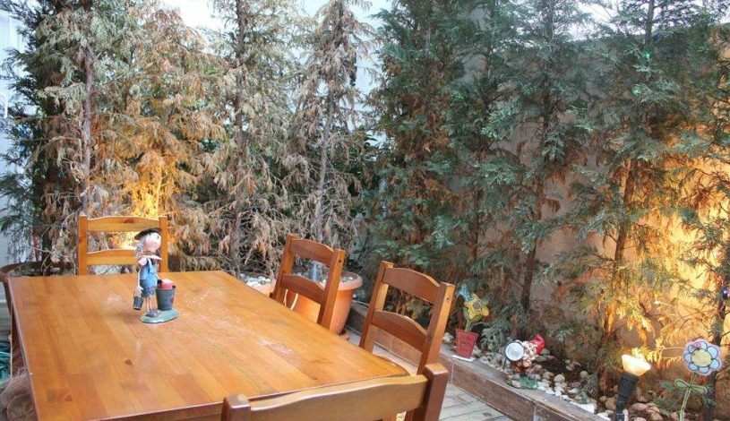 Apartment Somuncu Sk Istanbul - Apt 23259