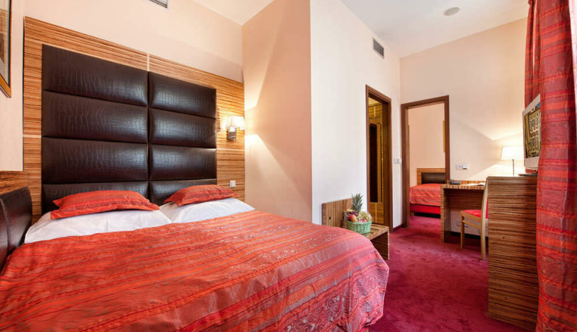 Hotel Sonata Praha - Double room